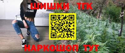 прущие крисы Сланцы