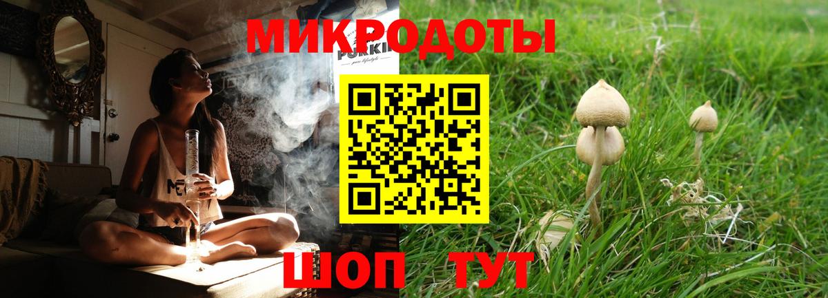 Галлюциногенные грибы ЛСД  дарнет шоп  Галлюциногенные грибы Magic Shrooms  Новосибирск  Вход с VPN 